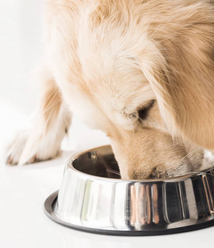 kachel_ernaehrung-885.jpg kachel_ernaehrung-885.jpg