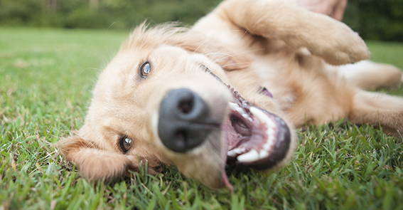 kontakt.jpg kontakt.jpg